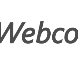 Webcollage Launches Revolutionary Image and Video Solution