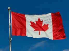 U.S. cloud slowing? What does it mean for Canada