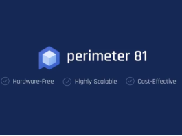 Perimeter 81’s channel roadmap for North America