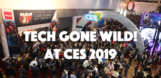 Tech Gone Wild at CES 2019