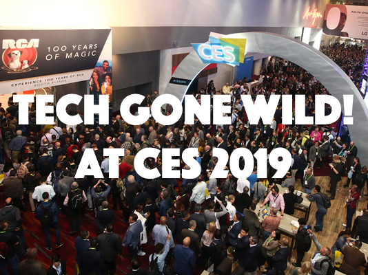 Tech Gone Wild at CES 2019