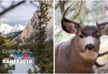 What do channel partners and vendors really want from channel conferences?