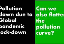 50th Earth Day: Pandemic a wake-up call to rethink how we live and treat our planet?