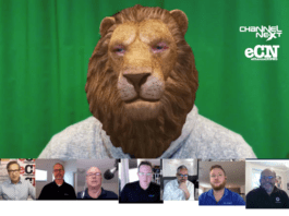 What Our Cyber Security Experts Roared About?