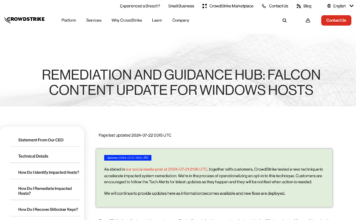 A Taste of a Cybersecurity “Pandemic”: Dealing with the impact of Crowdstrike