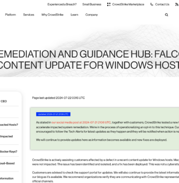 A Taste of a Cybersecurity “Pandemic”: Dealing with the impact of Crowdstrike