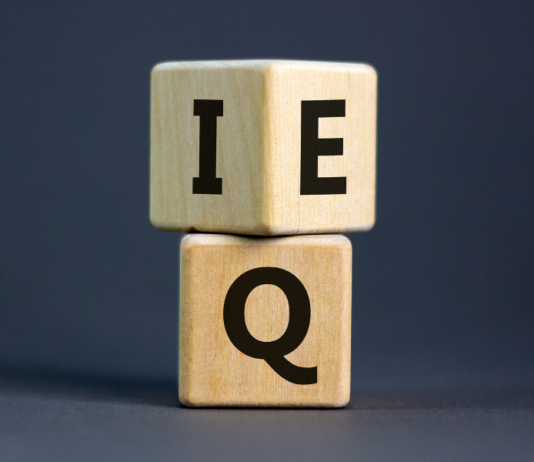 Emotional Intelligence and Executive Coaching: Bringing Out the Best in Leaders