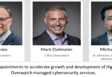 High Wire Networks Appoints Edward Vasko as CEO and Mark Dallmeier as CRO of Overwatch